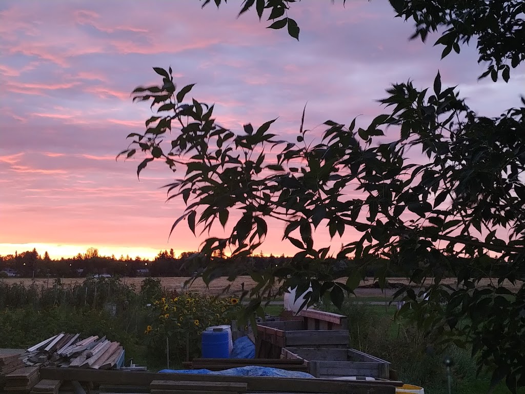 Prairie Urban Farm | 118 St NW, Edmonton, AB T6H 2V8, Canada | Phone: (780) 492-4598