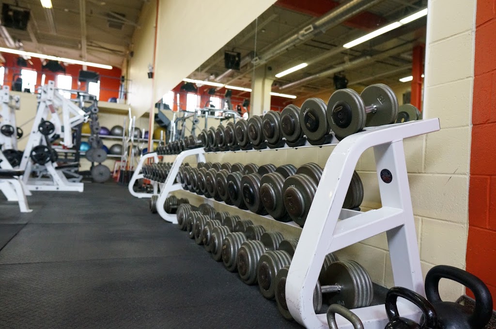 Mina Yun Strength & Wellness | 16 Mary St, Aurora, ON L4G 1G2, Canada | Phone: (416) 223-4345