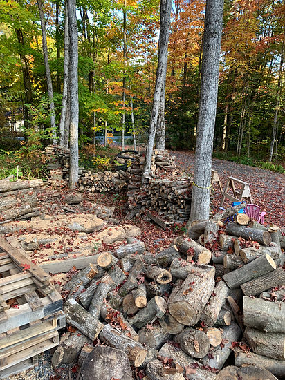 Shield Property Care | 1139 Dudley Rd, Bala, ON P0C 1A0, Canada | Phone: (705) 762-5101