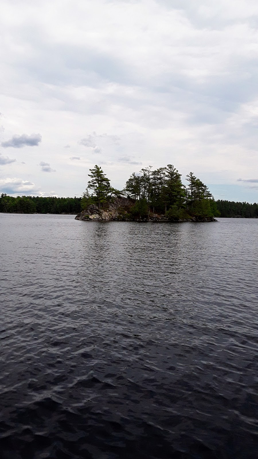 Anchorage Marina & Trailer Park | 1031 Jack Lake Rd, Apsley, ON K0L 1A0, Canada | Phone: (705) 656-4392