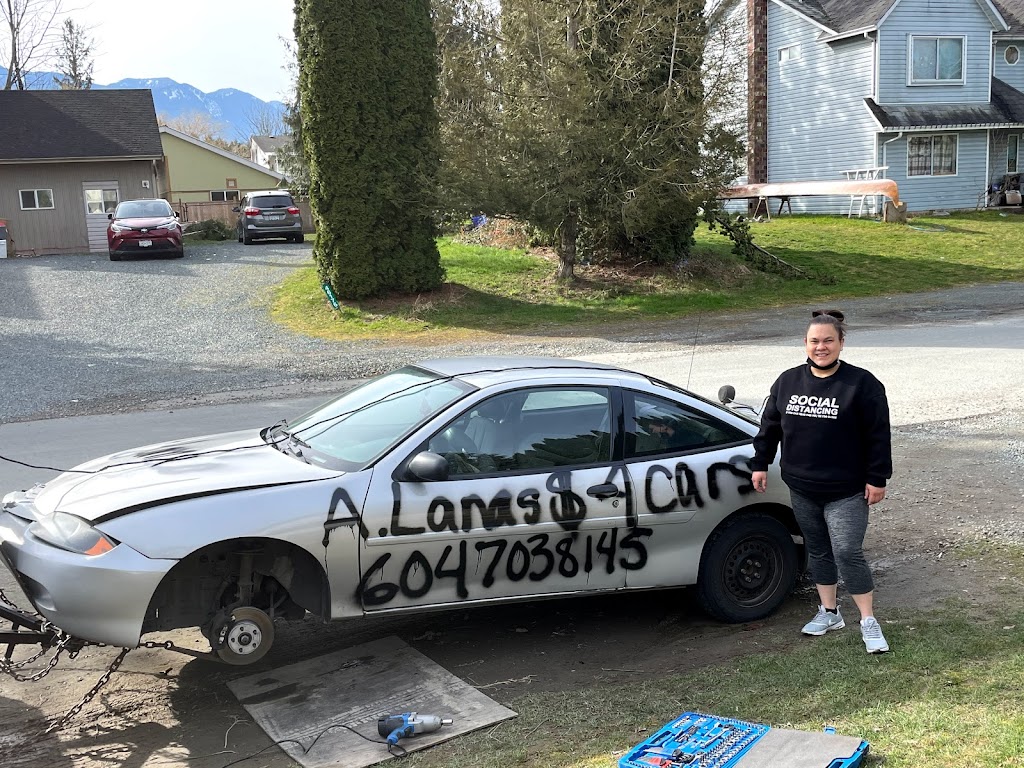 A. Lanas Cash for Scrap Cars Inc | 46177a Skowkale Crescent, Chilliwack, BC V4Z 1A2, Canada | Phone: (604) 703-8145