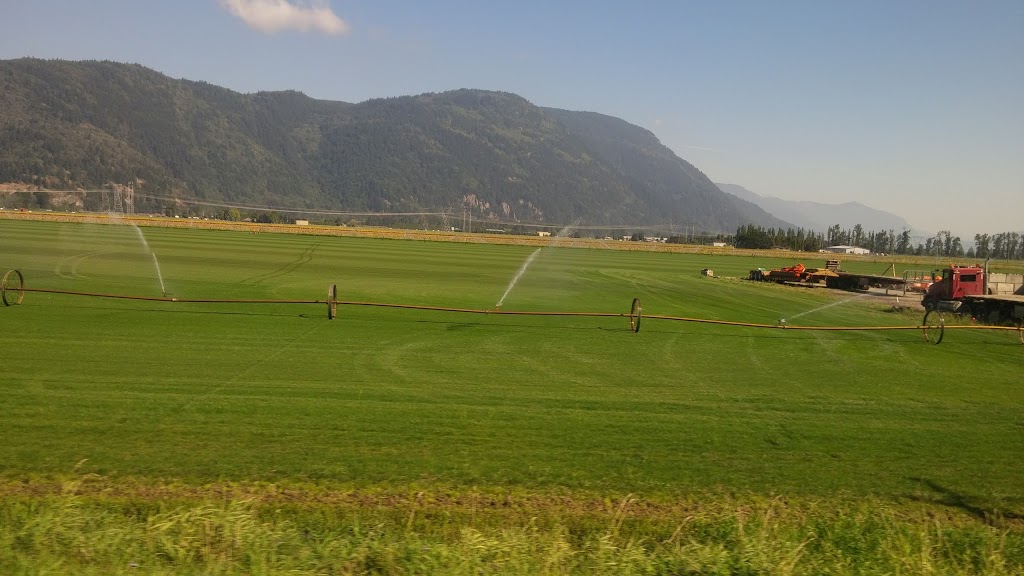 White cap Mushroom Farm Ltd | 38061 Atkinson Rd, Abbotsford, BC V3G 2G6, Canada | Phone: (604) 851-9377