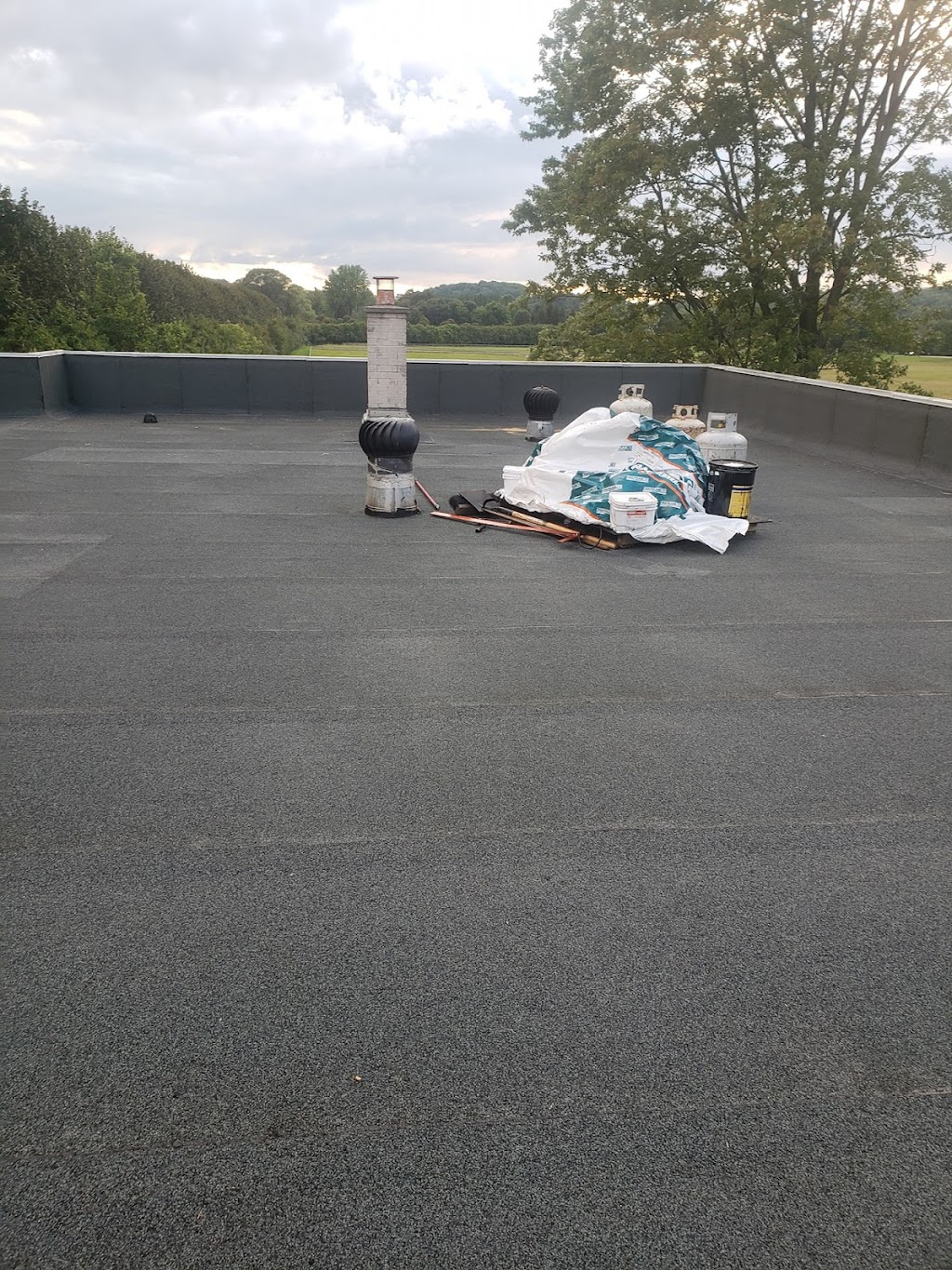 Golden Phoenix Construction Inc | 306 Grandravine Dr unit 179, North York, ON M3N 1J4, Canada | Phone: (647) 567-0053
