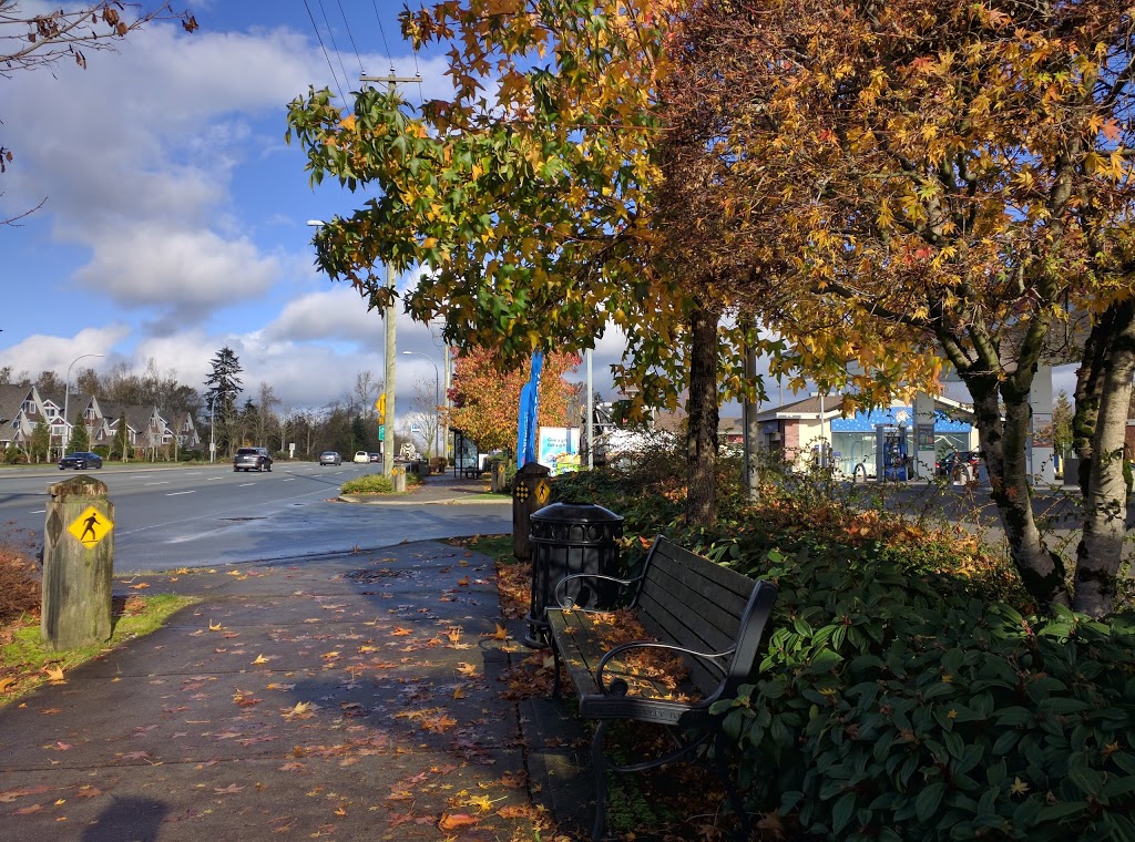 Petro-Canada | 19971 72 Ave, Langley City, BC V2Y 3J2, Canada | Phone: (604) 532-8941