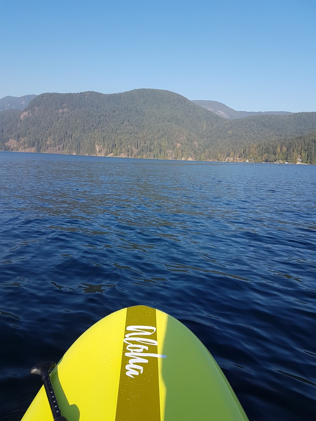 Oakwood Consulting Inc | 237 Turtlehead Rd, Belcarra, BC V3H 4P3, Canada | Phone: (604) 936-5161