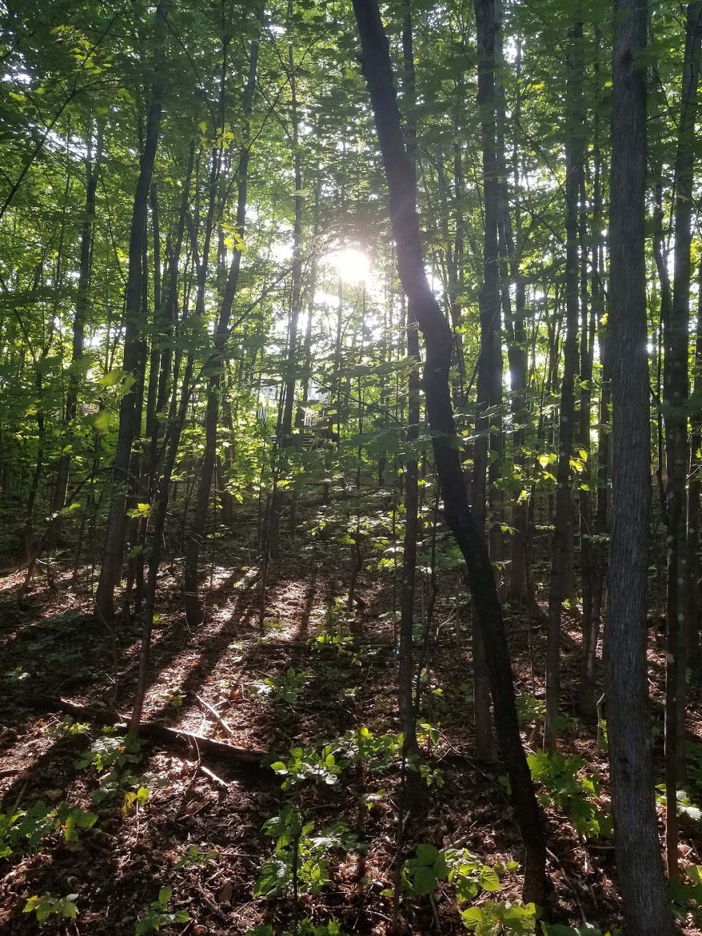 Brignoles Park | Rue de Brignoles, Gatineau, QC J8T 8H6, Canada | Phone: (866) 299-2002