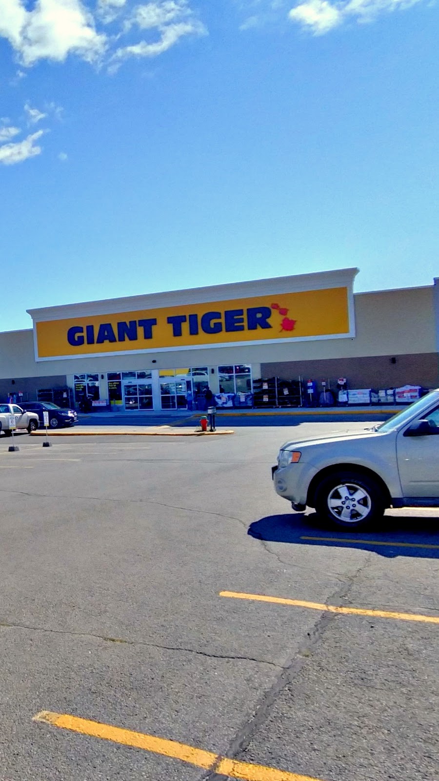 giant-tiger-1111-elgin-st-w-unit-z004-cobourg-on-k9a-5h7-canada