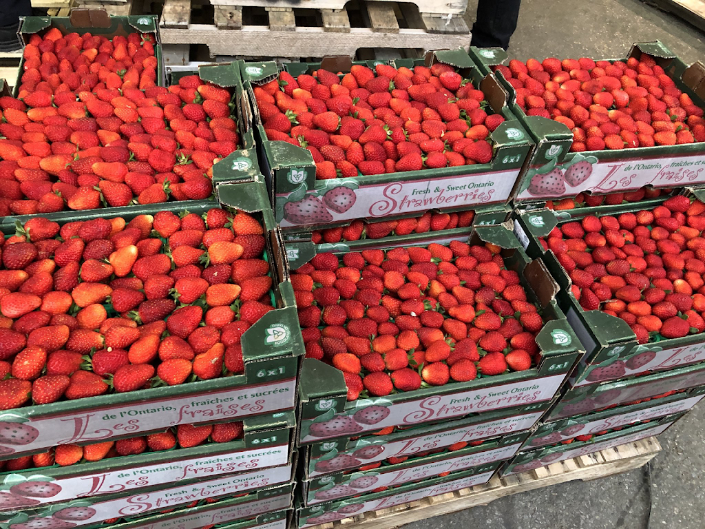 KOZICKI PRODUCE | 1151 Conc. 5 Townsend, Waterford, ON N0E 1Y0, Canada | Phone: (226) 931-0212