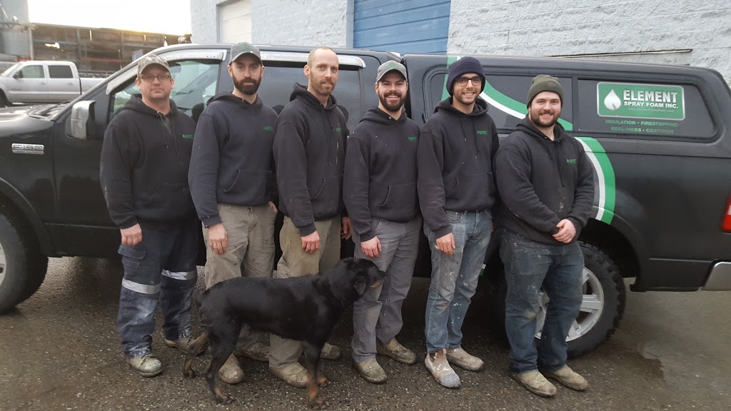 Element Spray Foam Inc | 3793 Sandy Hill Rd, Abbotsford, BC V3G 1H9, Canada | Phone: (778) 808-8725