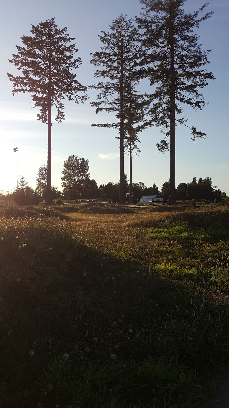 Aldergrove Athletic Park | 26845 27 Ave, Aldergrove, BC V4W 3C1, Canada