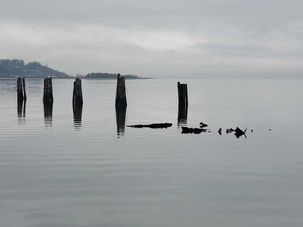 Royston Seaside Trail | 3768 Hilton Rd, Courtenay, BC V9N 9T4, Canada | Phone: (250) 334-6000