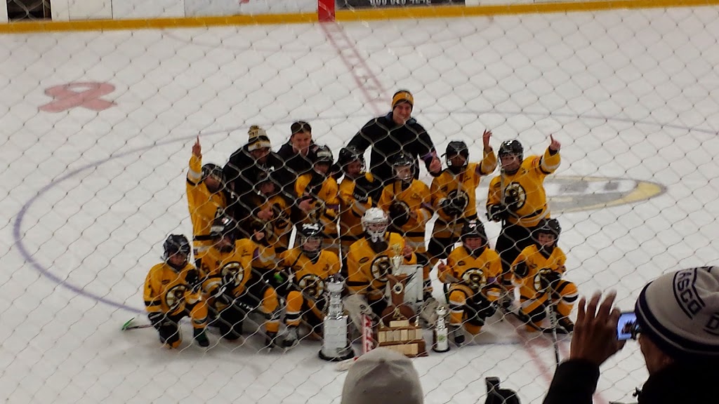 Bill Friday Lawfield Arena | 150 Folkestone Ave, Hamilton, ON L8V 4R6, Canada | Phone: (905) 546-3747