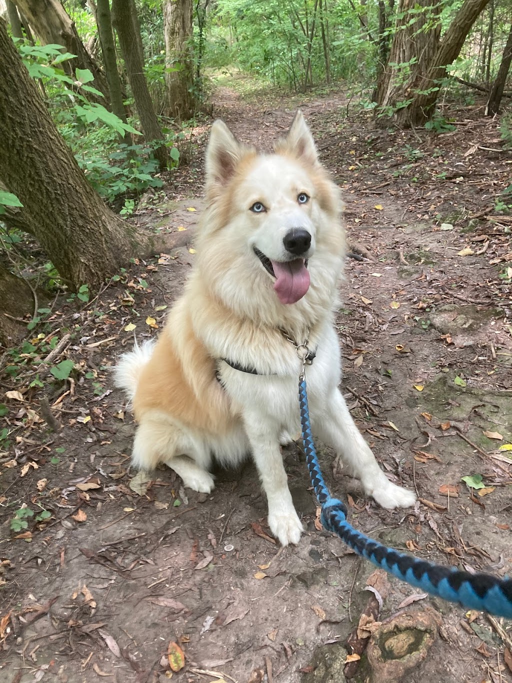 Northumberland Humane Society | 371 Ward St, Port Hope, ON L1A 4A4, Canada | Phone: (905) 885-4131