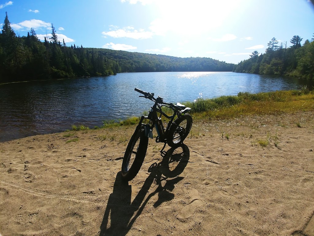 Camp Carowanis | 5000 Rue des Pins, Sainte-Agathe-des-Monts, QC J8C 2Z7, Canada | Phone: (866) 801-2401