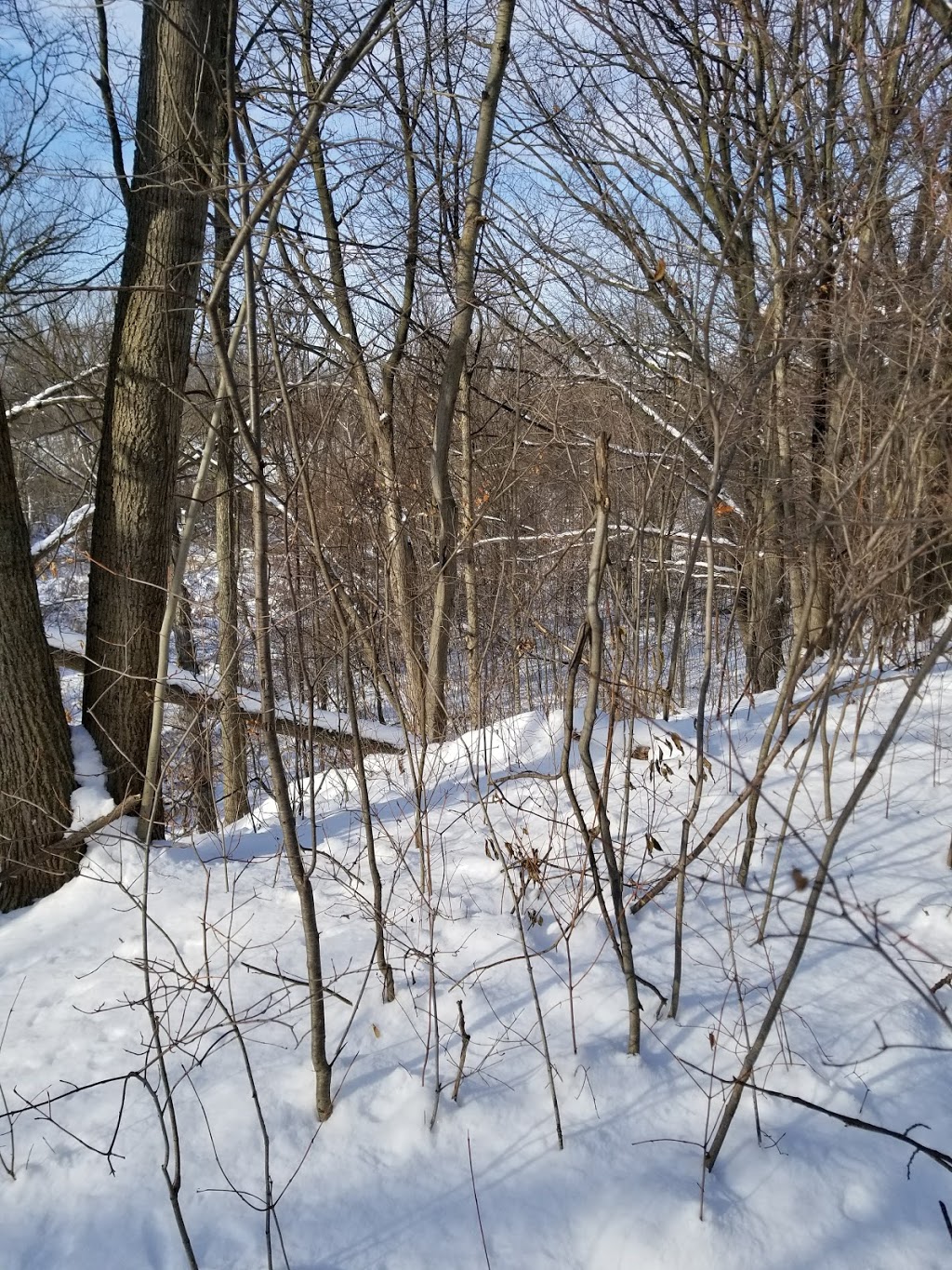 Langtry Park | 2186 Brays Ln, Oakville, ON L6M 3J7, Canada | Phone: 0000000