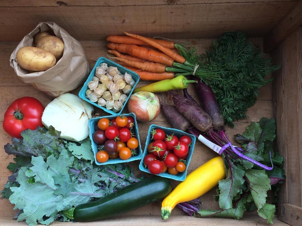 Codiac Organics Ltd. | 1176 Ryan St., Moncton, NB E1G 2V6, Canada | Phone: (506) 870-0772