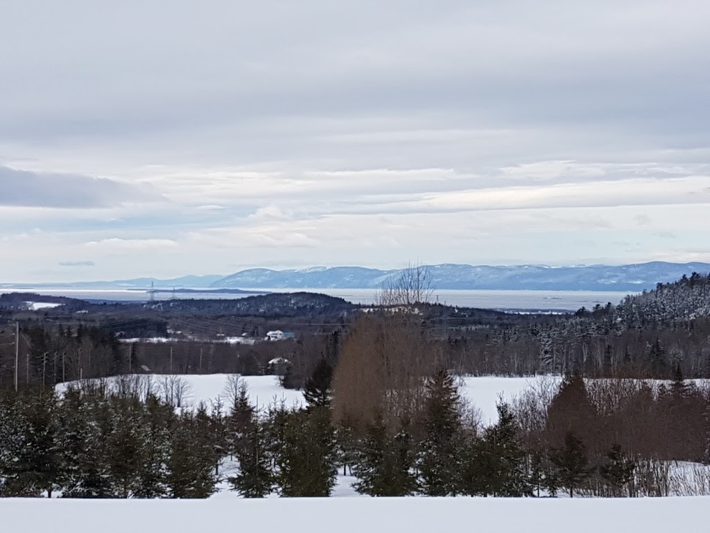 Verger de lÉvolution | 80 Rte Gamache, Sainte-Louise, QC G0R, Canada, Canada | Phone: (418) 356-6638