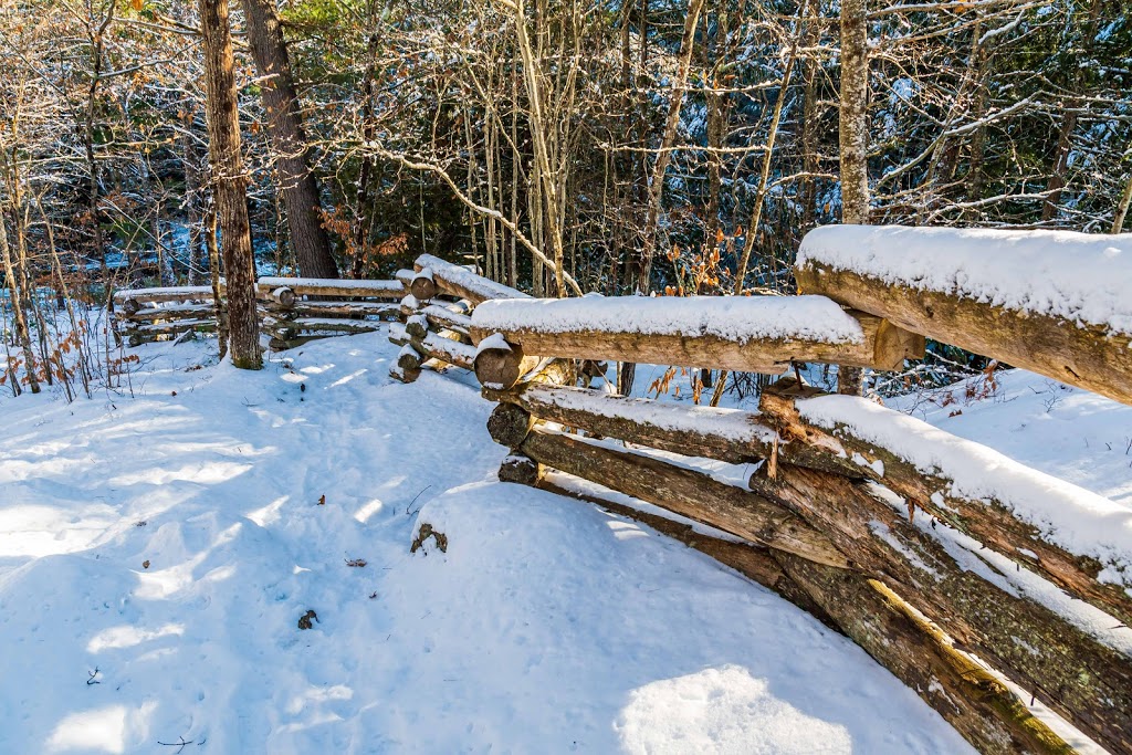 The Gut Conservation Area | 2399 The South Rd, Coe Hill, ON K0L 1P0, Canada | Phone: (613) 472-3137