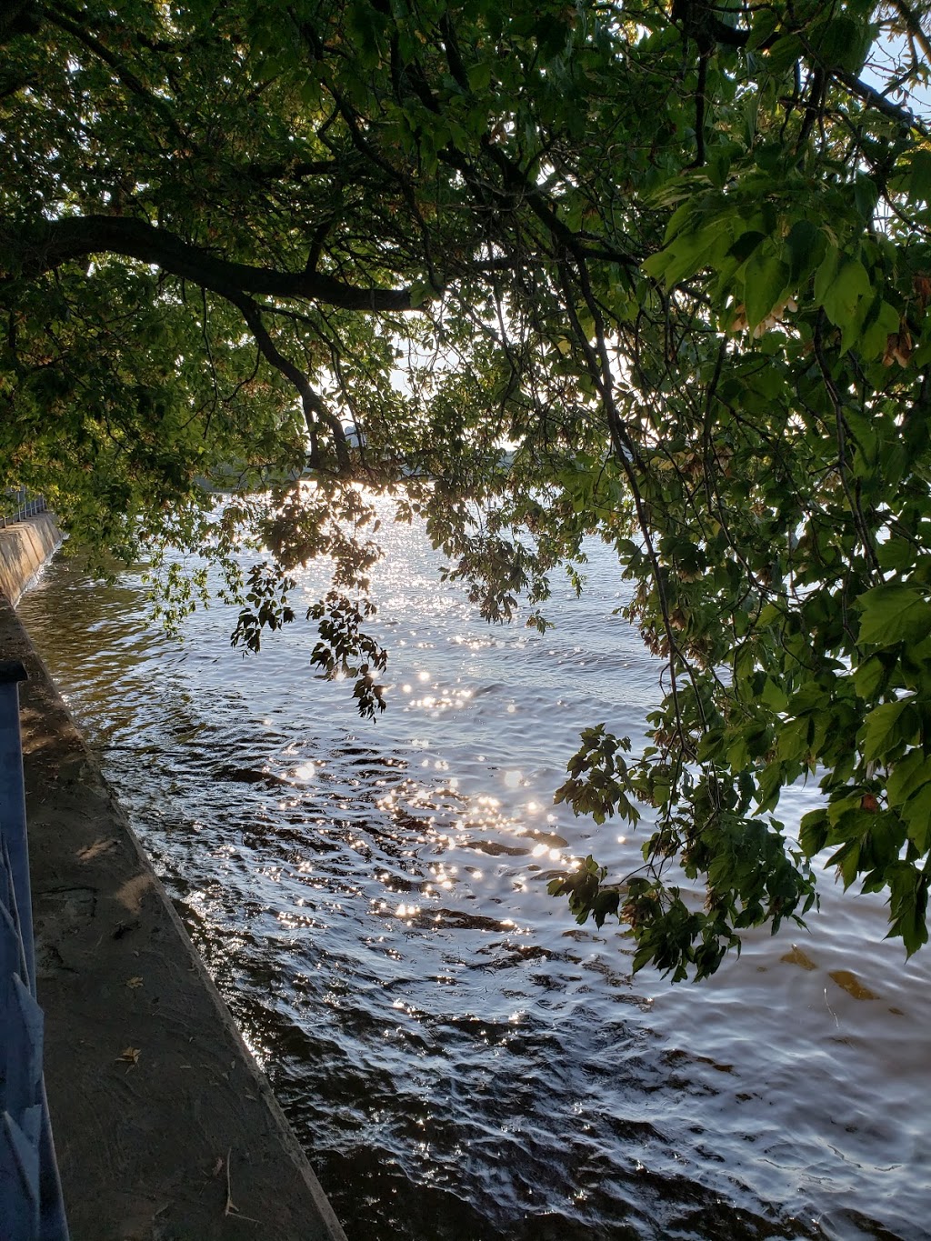 Visitation Nature Park | 11062 Avenue Wilfrid St Louis, Montréal-Nord, QC H1H 5K7, Canada | Phone: (514) 280-6767