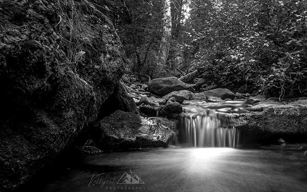 Kellycat Photography | 210 Millview Gardens SW, Calgary, AB T2Y 4A7, Canada | Phone: (403) 813-4347