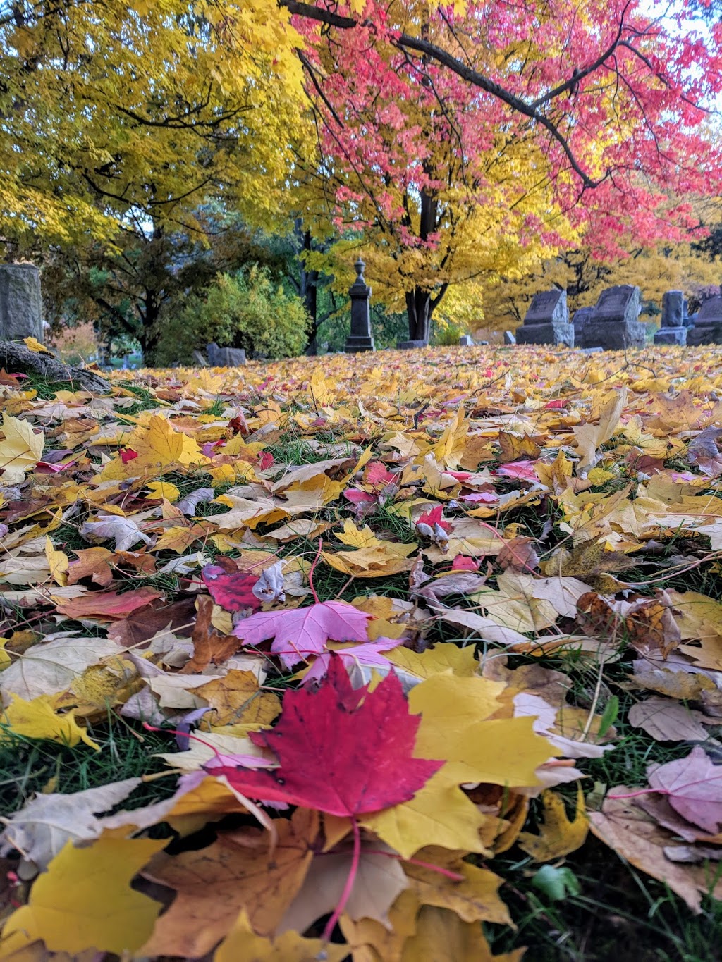 Cold Spring Cemetery | 4849 Cold Springs Rd, Lockport, NY 14094, USA | Phone: (716) 434-3450