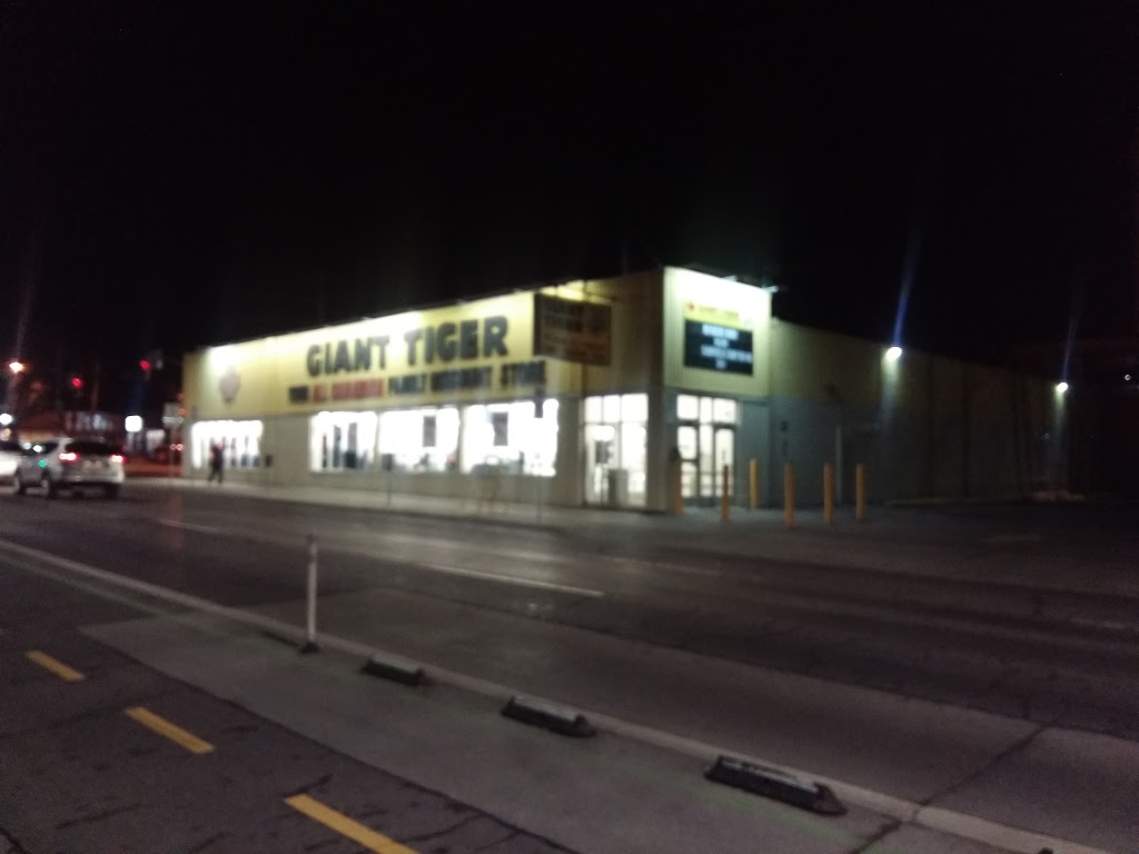 Giant Tiger | 33 Cannon St E, Hamilton, ON L8L 1Z7, Canada | Phone: (905) 528-2224