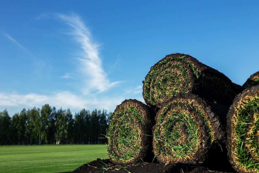 East Coast Turf Ltd. | 537 Charles Lutes Rd, Lutes Mountain, NB E1G 2T5, Canada | Phone: (506) 855-1282