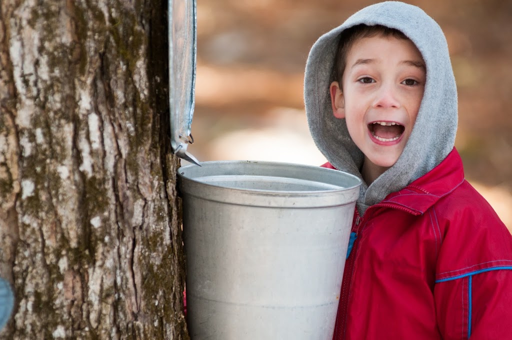 The Calder School | 19 Cassels Rd E, Whitby, ON L1M 1A4, Canada | Phone: (905) 244-9778