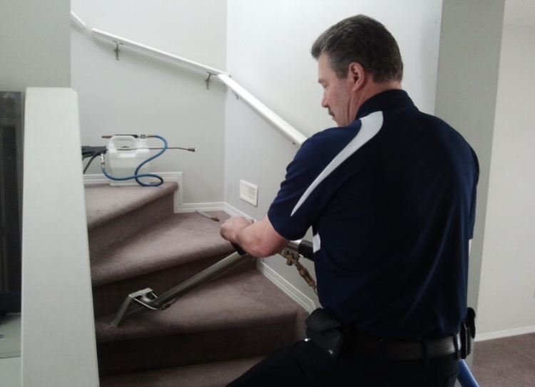 Classic Carpet Care | 4403 56 Ave #1, Leduc, AB T9E 6T7, Canada | Phone: (780) 910-2598