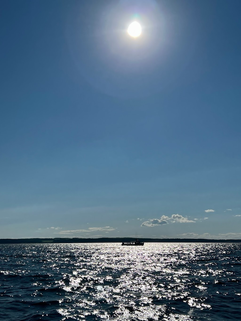 Joeys Deep Sea Fishing | 52 Harbourview Dr, North Rustico, PE C0A 1X0, Canada | Phone: (902) 963-2295