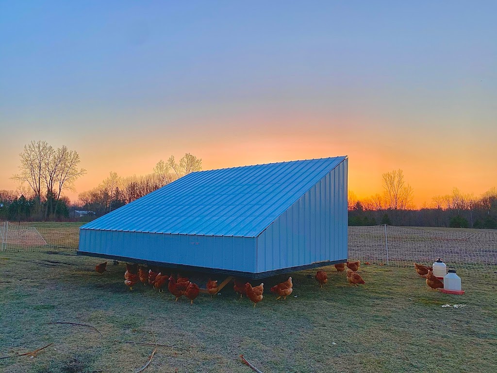 Provenance Farms | 686156 Oxford 2, Woodstock, ON N4S 7V9, Canada | Phone: (416) 668-4350