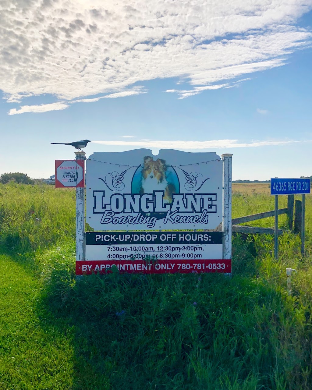 Long Lane Boarding Kennels | 46365, Range Rd 201, AB T0B 3P0, Canada | Phone: (780) 672-7724