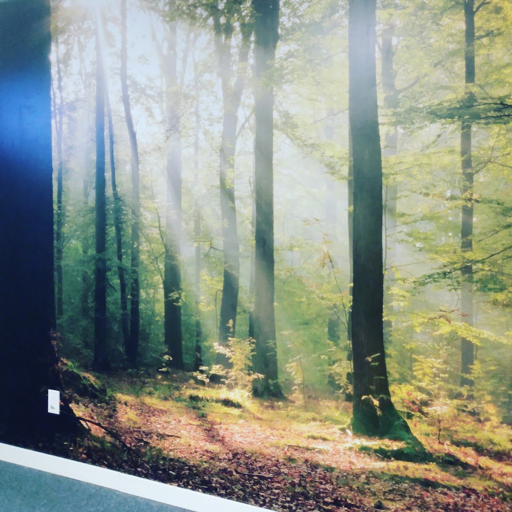 RAM Contracting, Wallpaper & Painting | 8874 132 St, Surrey, BC V3V 5P2, Canada | Phone: (778) 387-9404