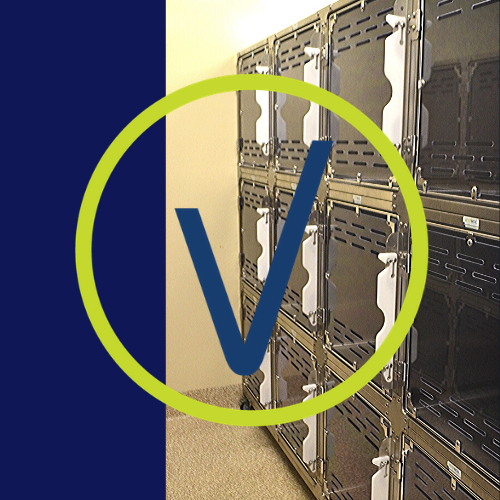 Vétérinov | 1001 Chemin Dion, Sherbrooke, QC J1R 0R8, Canada | Phone: (819) 481-1083