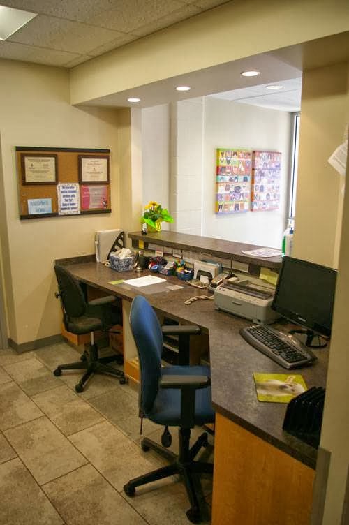 The Spay Clinic | 10575 111 St NW, Edmonton, AB T5H 3E8, Canada | Phone: (780) 426-4221