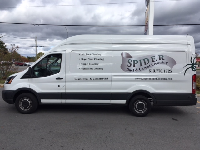 Spider | 301 Emerald St, Kingston, ON K7P 3E1, Canada | Phone: (613) 770-1725