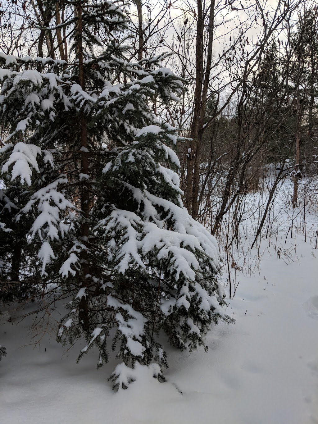 Whalen Park | 5115 Kanata Ave, Kanata, ON K2K 3K5, Canada | Phone: (866) 261-9799