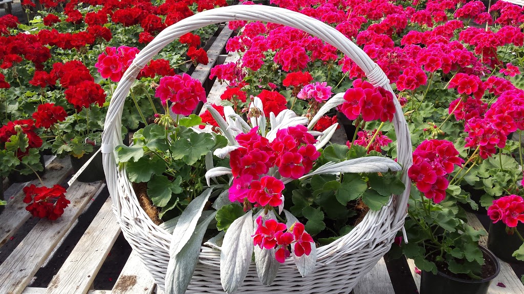 Les Jardins Chartrand | 306 Chemin Antoine-Boucher, Gatineau, QC J9J 3M6, Canada | Phone: (819) 684-6934