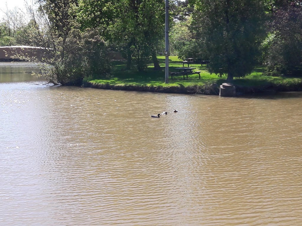 Duck Island | 3200 Pine Ave, Niagara Falls, NY 14301, USA