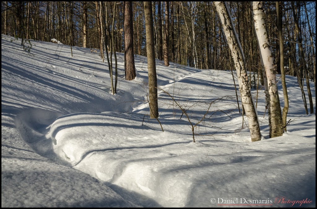 Aire écologique du ruisseau Lachapelle | 215 Boulevard des Estacades, Trois-Rivières, QC G8W 1P5, Canada