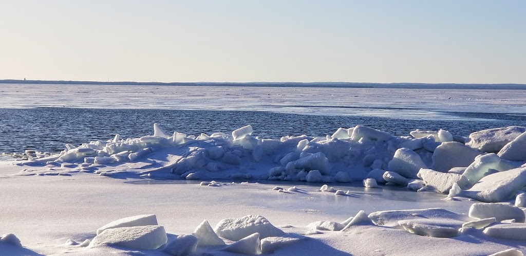 Lake Simcoe Marine Limited | 977 Isabella St, Belle Ewart, ON L0L 1C0, Canada | Phone: (705) 456-3131
