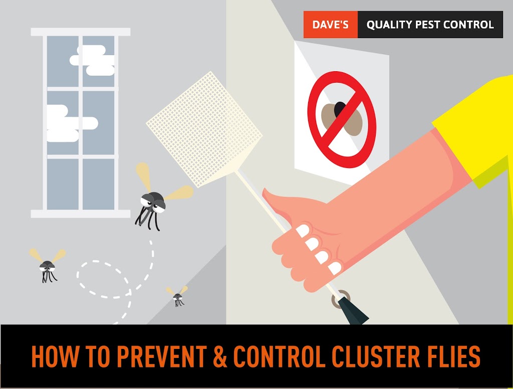 Daves Quality Pest Control Kawartha Lakes | 643 St Lukes Rd, Lindsay, ON K9V 4R5, Canada | Phone: (866) 984-2434