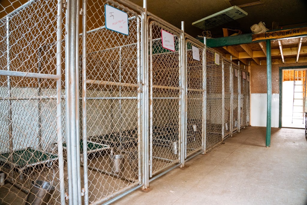 K Country Kennels | 1831 Black Creek Rd, Lanark, ON K0G 1K0, Canada | Phone: (613) 285-6137