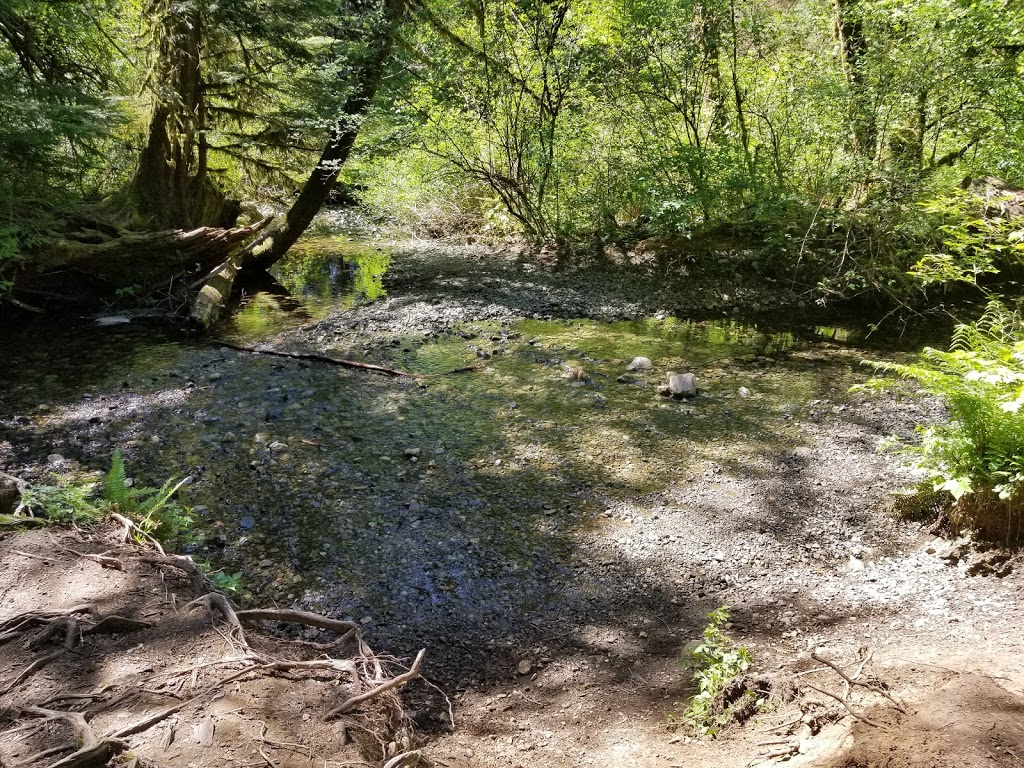 Rolley Lake Provincial Park | Bell St, Mission, BC V4S 1C6, Canada | Phone: (604) 466-8325