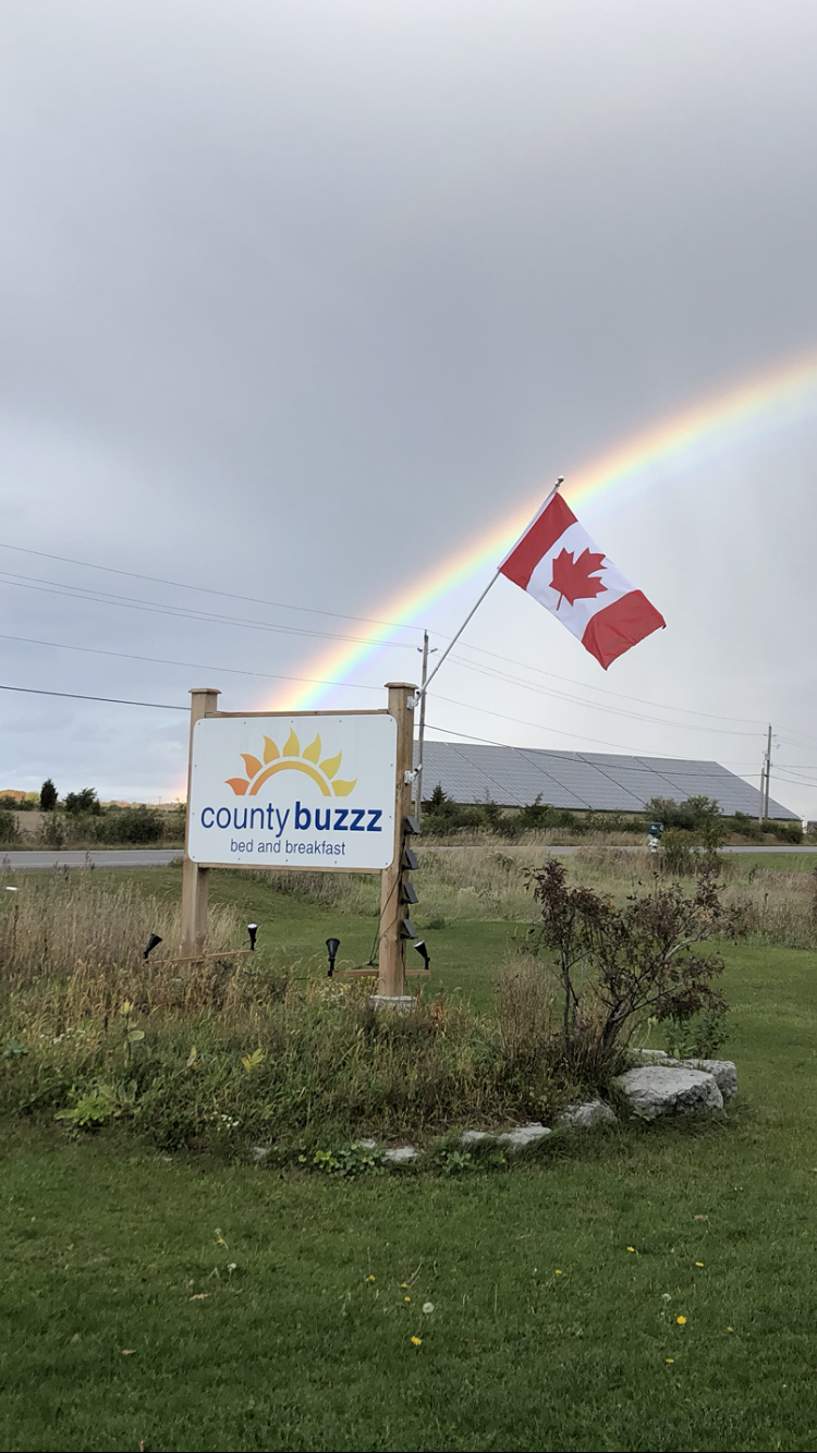 County Buzzz Bed & Breakfast | 19039 Loyalist Pkwy, Consecon, ON K0K 1T0, Canada | Phone: (647) 233-5123