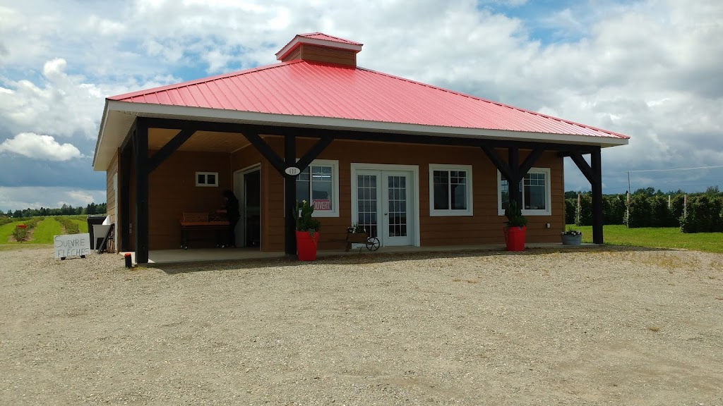Fraisiere Bellevue | 410 Québec 271 N, Saint-Éphrem-de-Beauce, QC G0M 1R0, Canada | Phone: (418) 484-2634