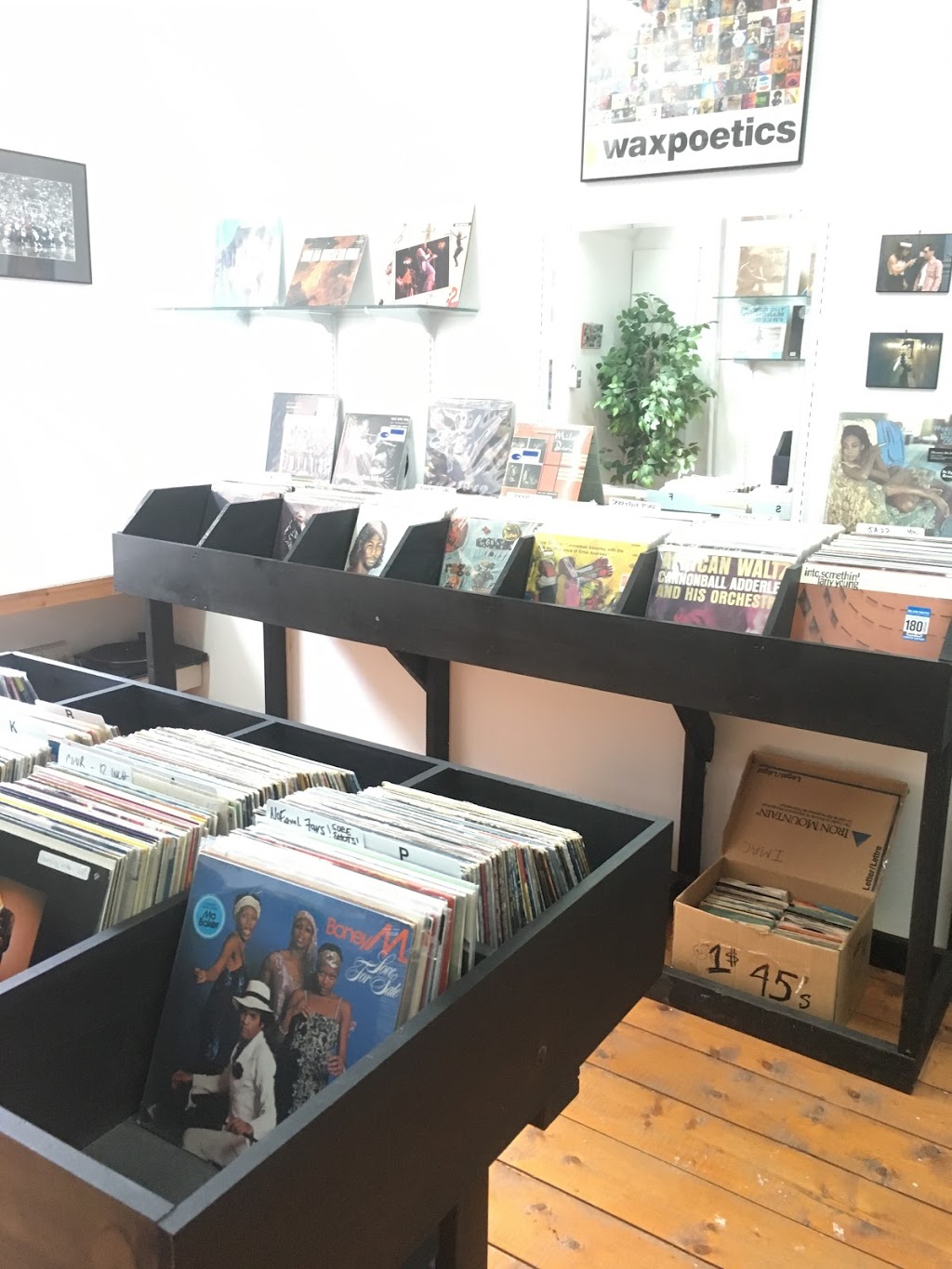 No Equal Records | electronics store | 2 Clifts - Bairds Cove, St. Johns, NL A1C 6M9, Canada | 7092377222 OR +1 709-237-7222