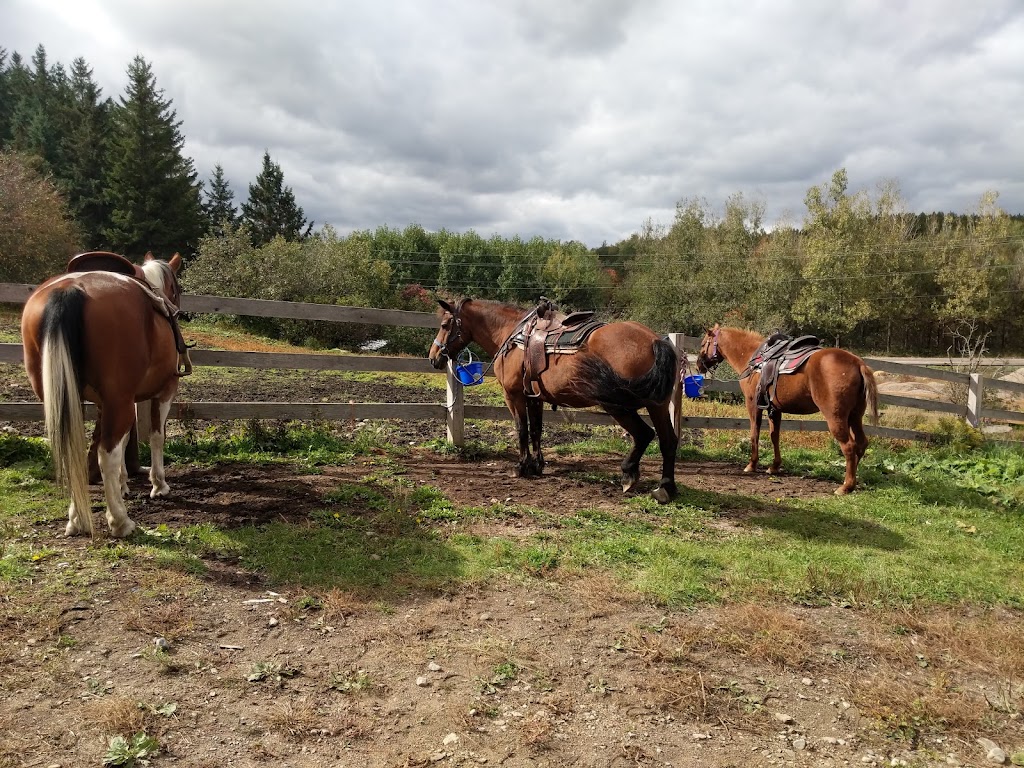 Adventure Stables | 303 Hay Creek Rd, Whitney, ON K0J 2M0, Canada | Phone: (613) 637-1179