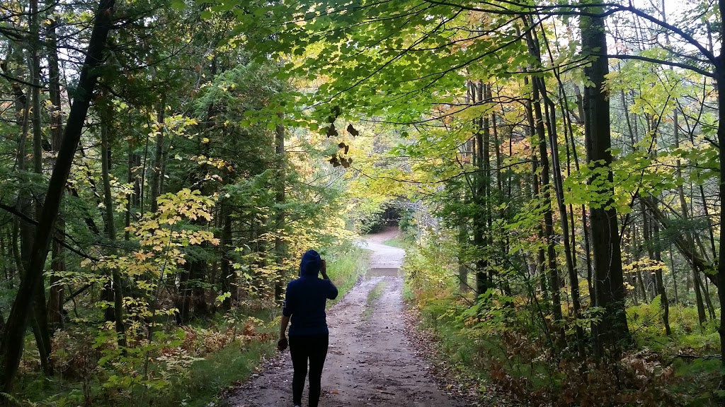 Pinnacle Park Camping | Pinnacle Hill Rd, Grafton, ON K0K 2G0, Canada | Phone: (905) 349-2291
