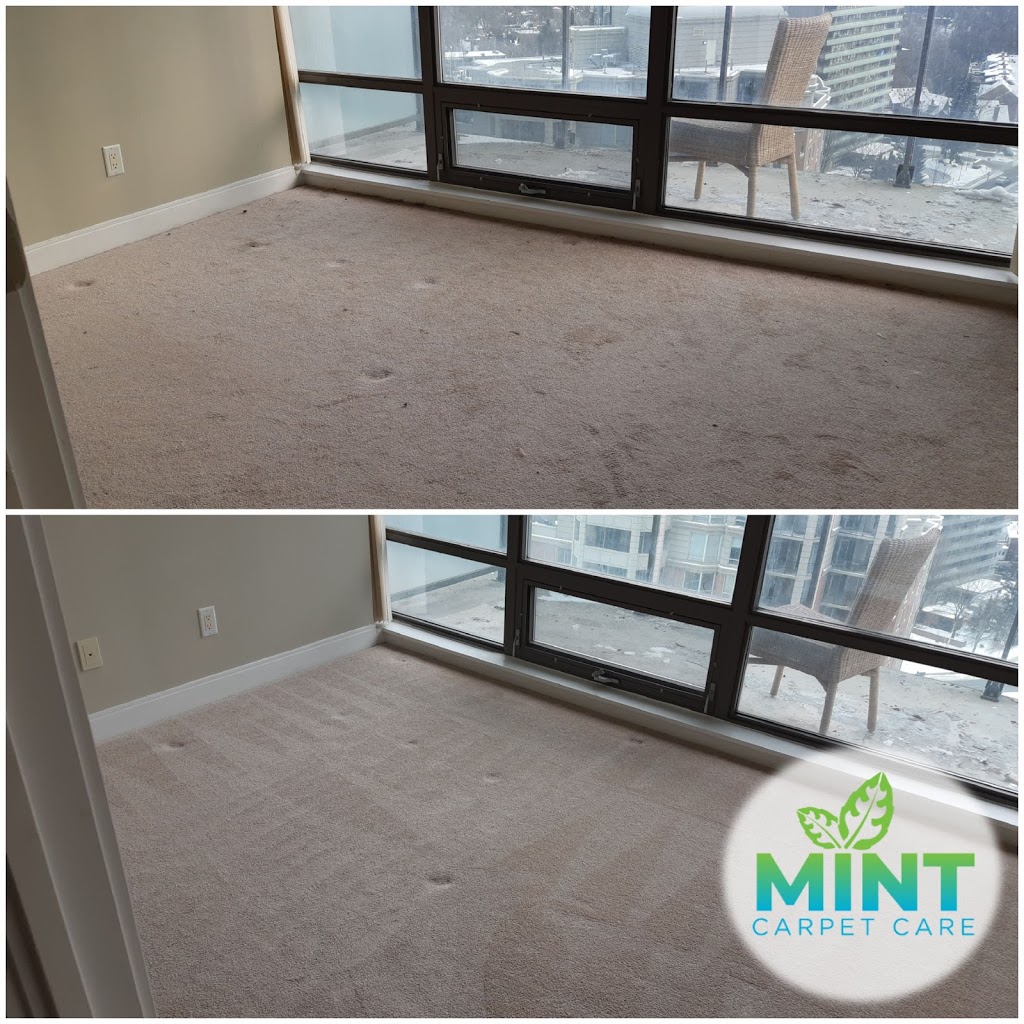 Mint Carpet Care | 317 Park Lawn Rd #28, Etobicoke, ON M8Y 3K2, Canada | Phone: (416) 828-3804
